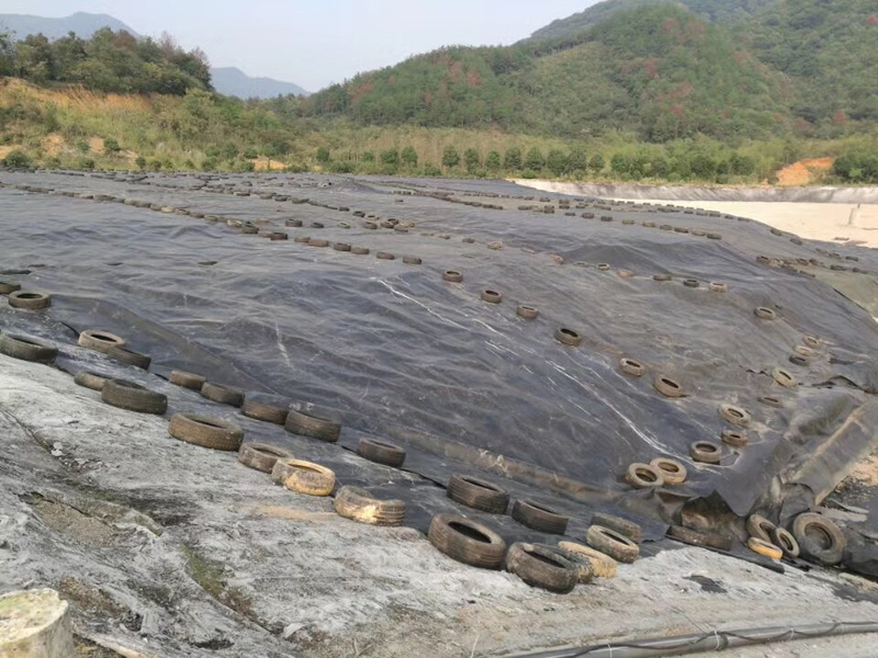 1623735654.jpg 6.jpg