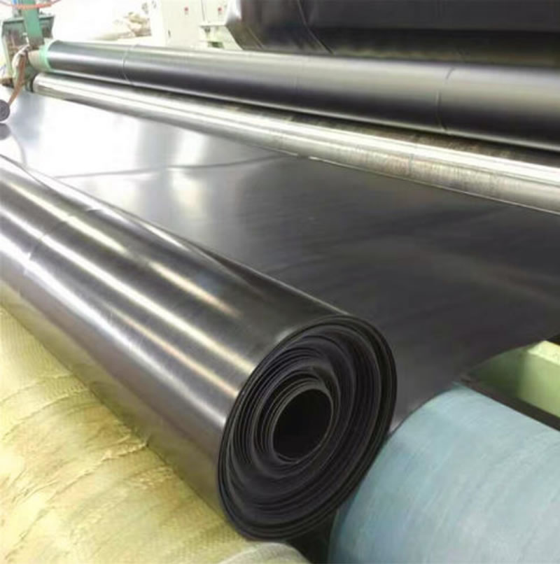 1623735955.jpg 6.jpg