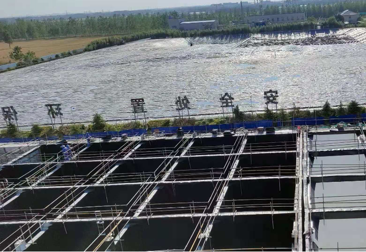 1625823925.png 3D65RS1Y2JP2X1TYDEXAQ$0.png