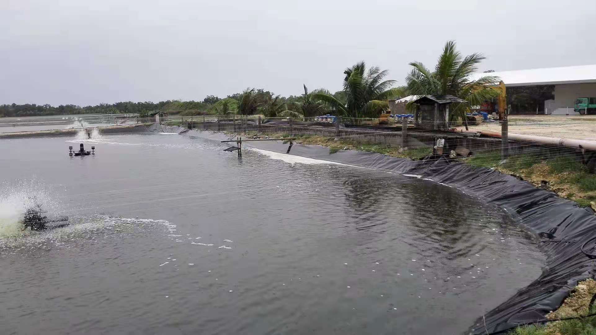 1626837169.jpg 鱼塘.jpg